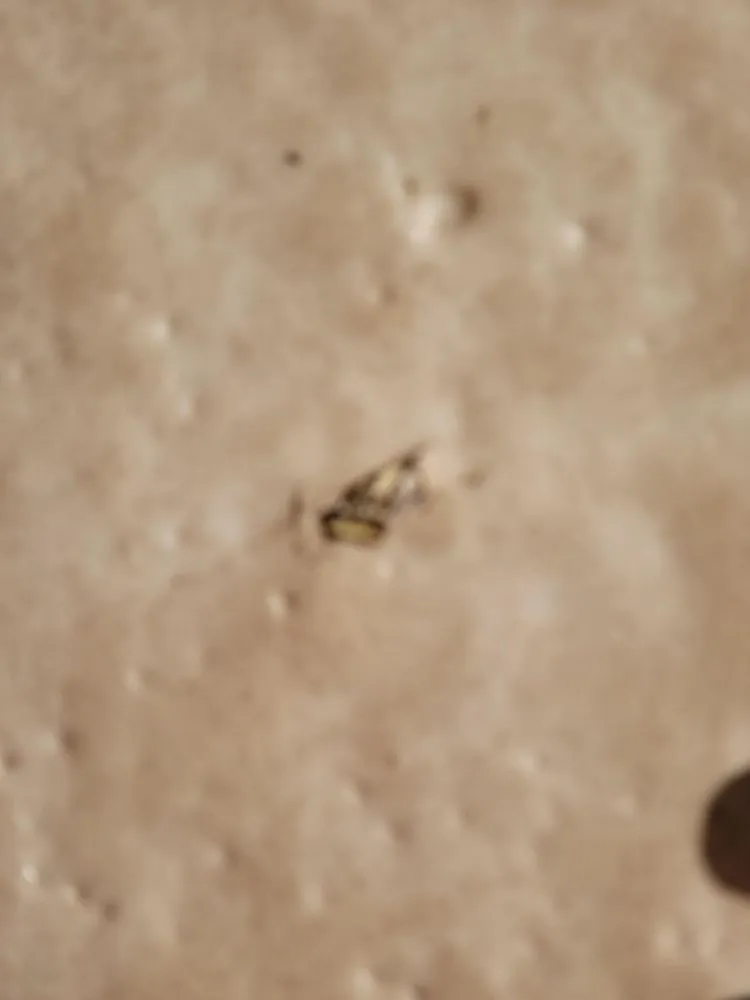 Slide of Solar Store