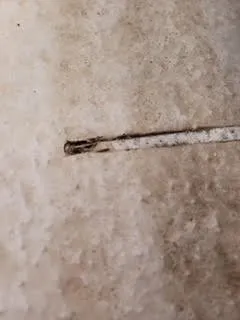 Slide of Solar Store