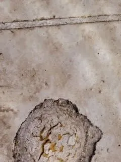 Slide of Solar Store