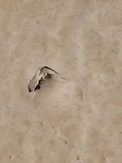 Slide of Solar Store