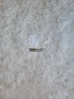 Slide of Solar Store