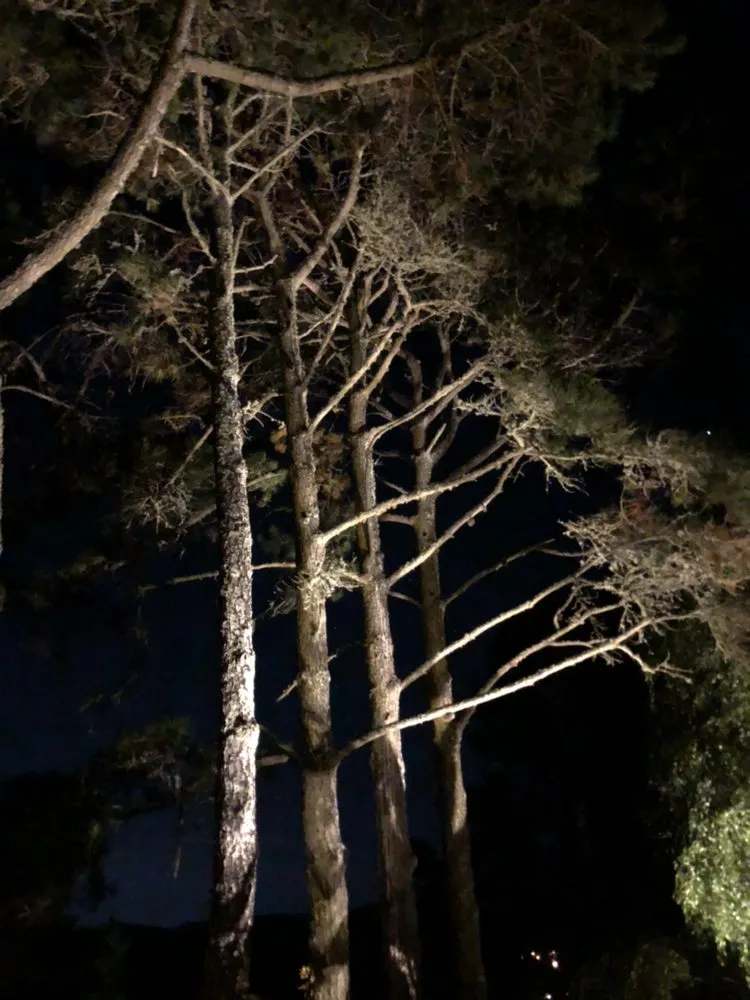 Licensed electrician providing outlet and switch repair in ,