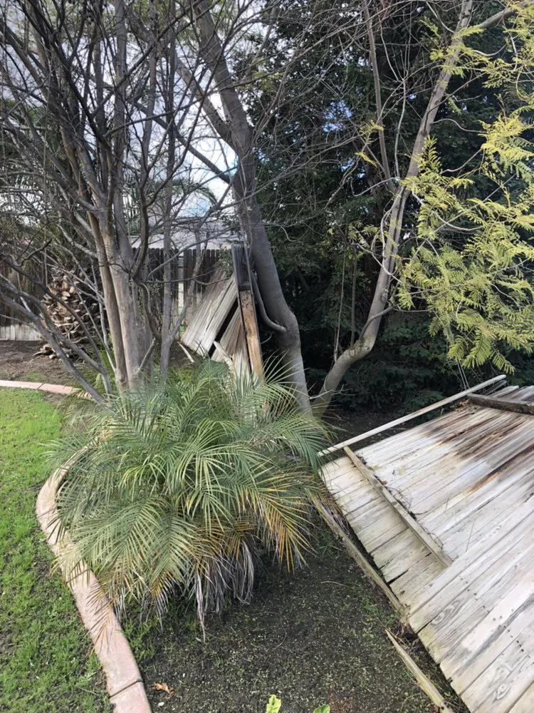 Professional outlet and switch repair in ,  by Son-in-Laws General Services Company