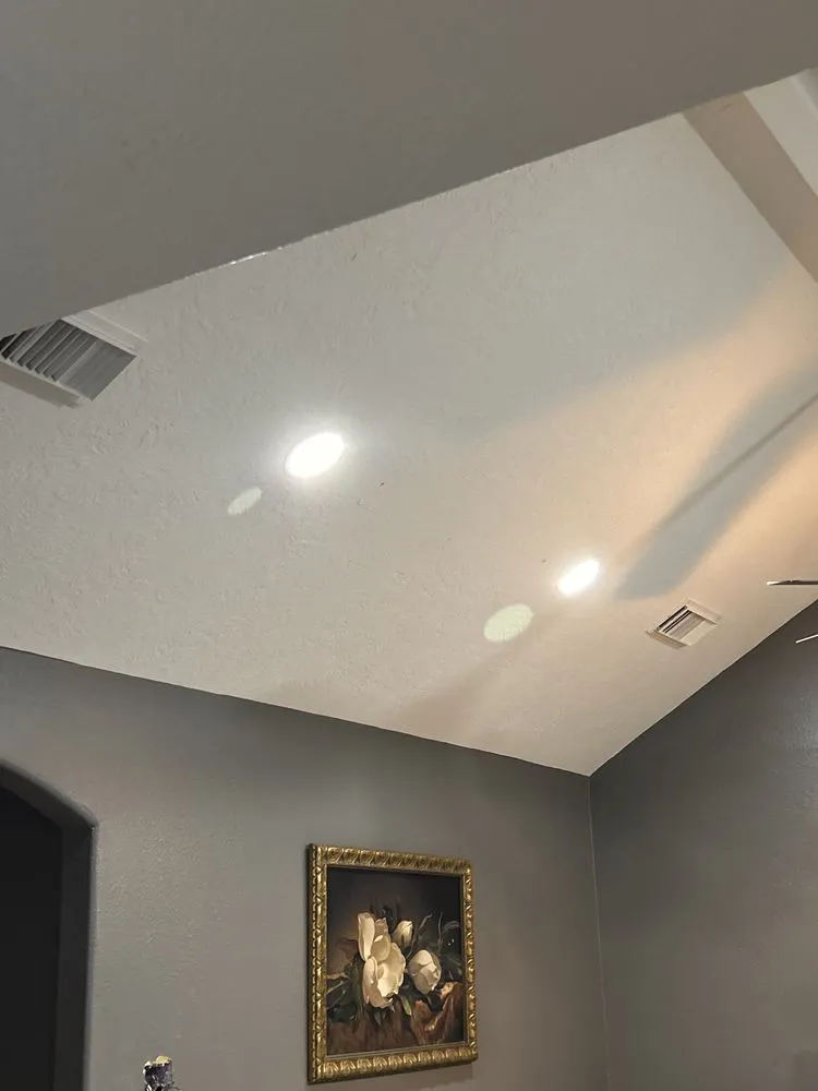 Slide of Sonic And Shadow Electricians