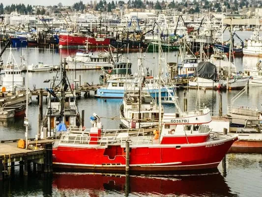 Sound Specialized Services Logo