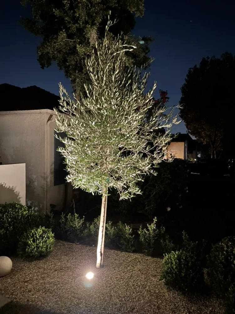 Slide of Source Electrical