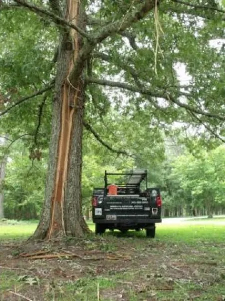 Slide of South Carolina Lightning Protection