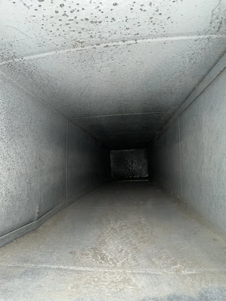 Emergency electrical repair experts serving ,  - South Jersey Home Maintenance