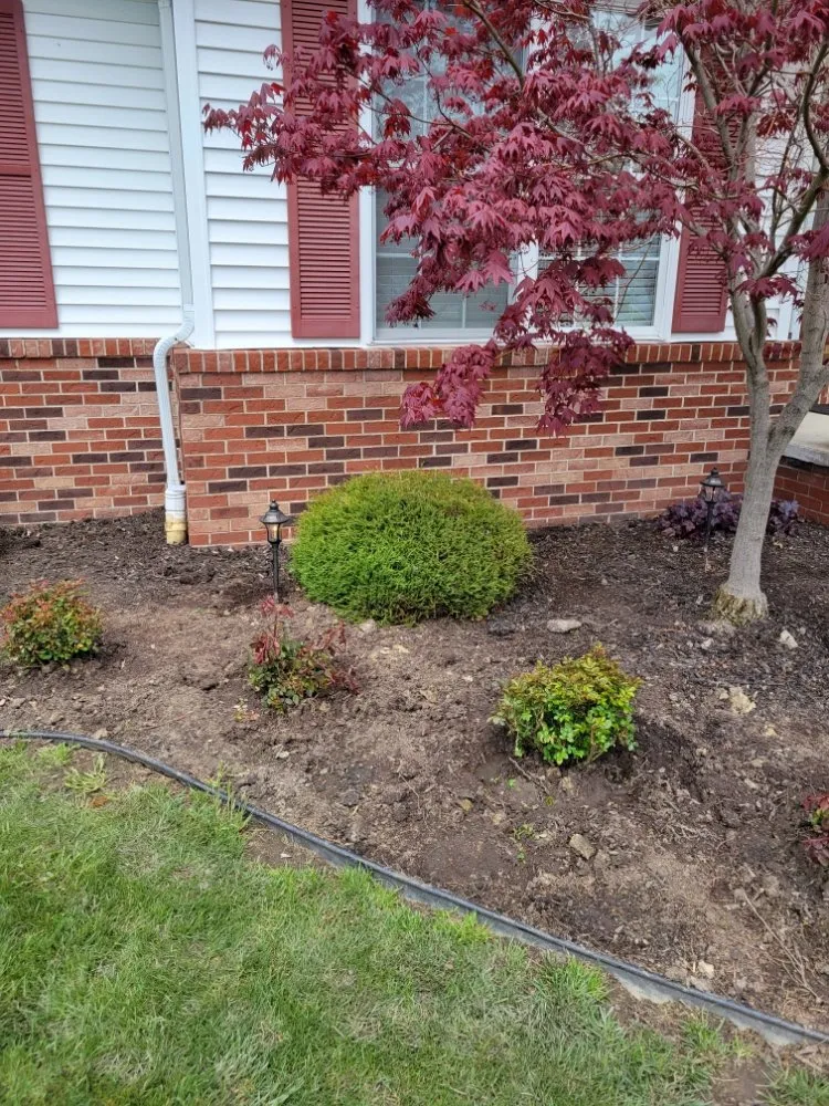 Slide of South Ridge Electric