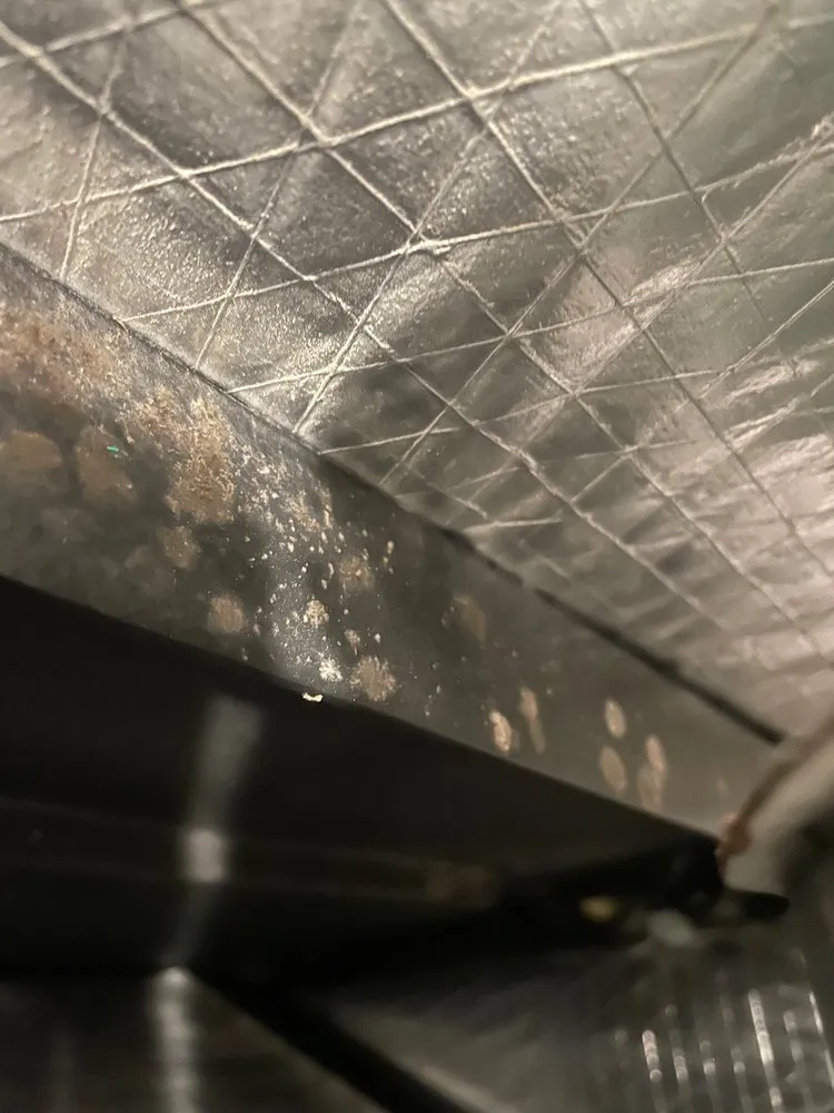 Expert electrician providing electrical repair in , 