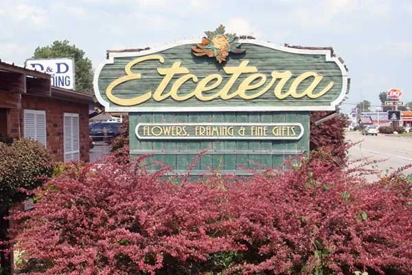 Slide of Southern Lights