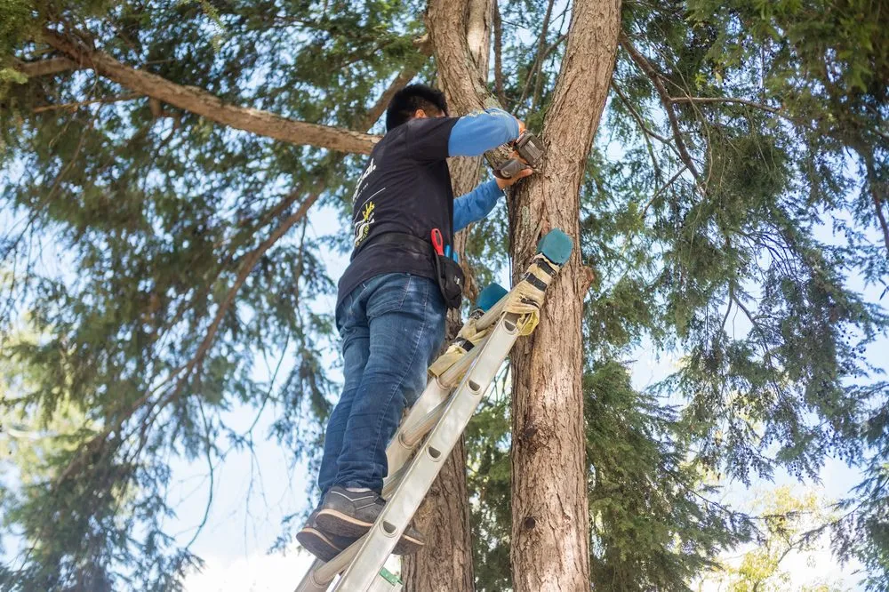 Slide of Southern Lights Outdoor Lighting & Audio