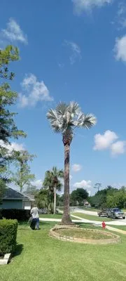 Southern Man's Maintenance