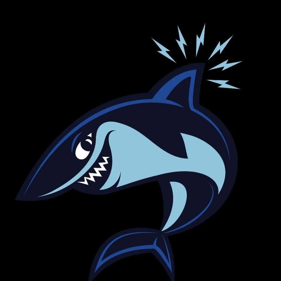Slide of Spark Shark