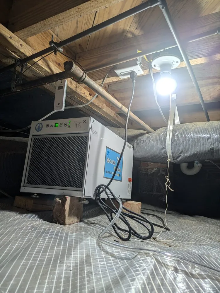 Slide of Sparkies of the Pines