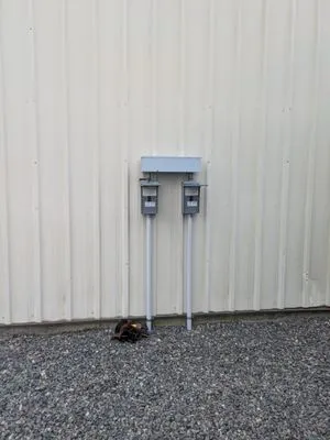 Sparkies of the Pines