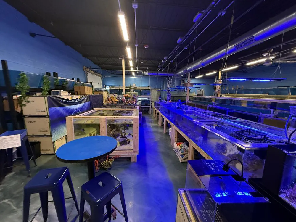 Slide of Sparking Grid