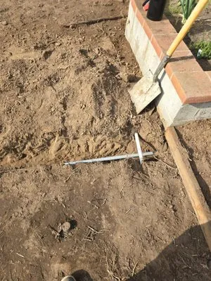 Sparky Electric Logo