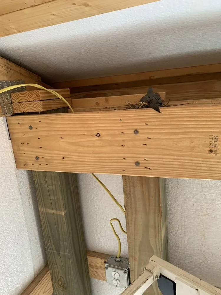 Slide of Sparky4u Electric