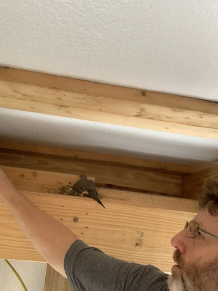 Reliable electrical repair in ,  by Sparky4u Electric