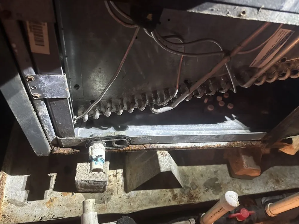 Professional electrician providing wiring installation in , 