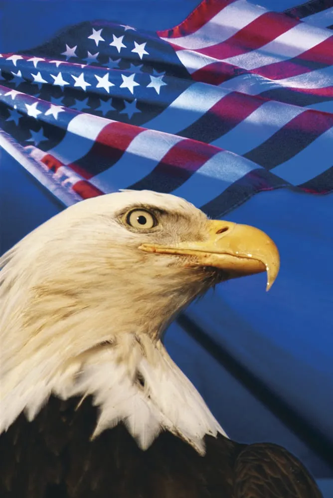 Slide of Sparky's Electric