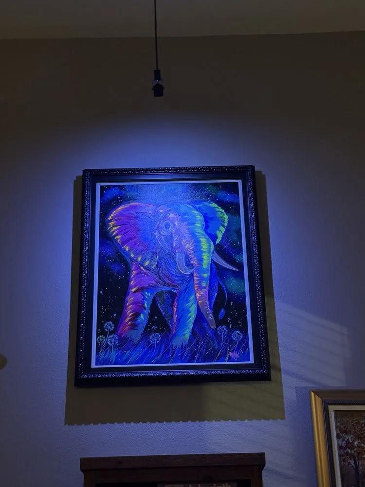 Slide of Special T Electric