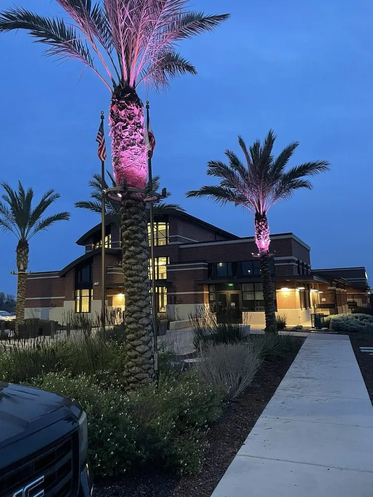 Slide of Special T Electric