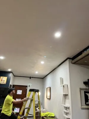 Speedy Electric Logo