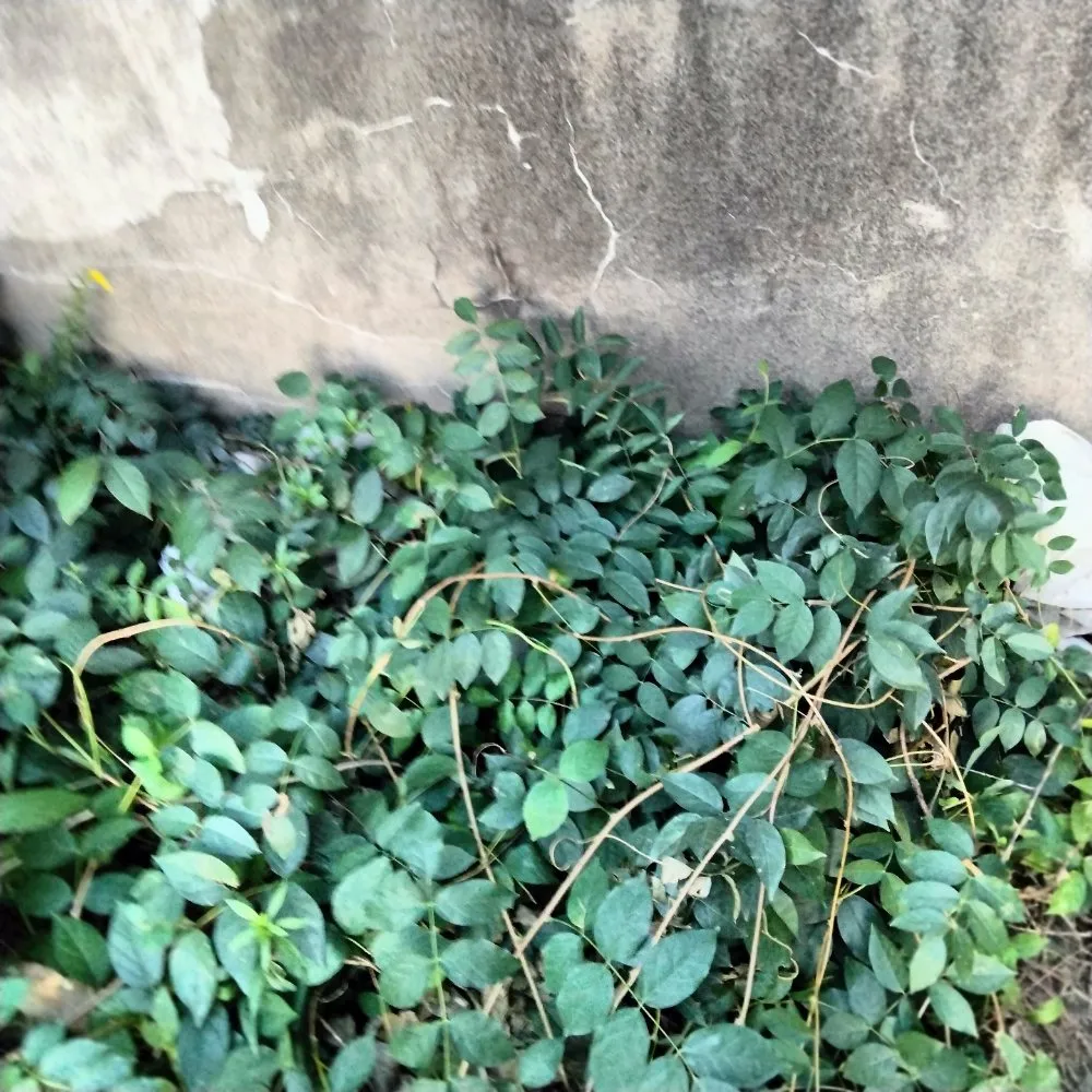 Slide of Spell Home Improvements