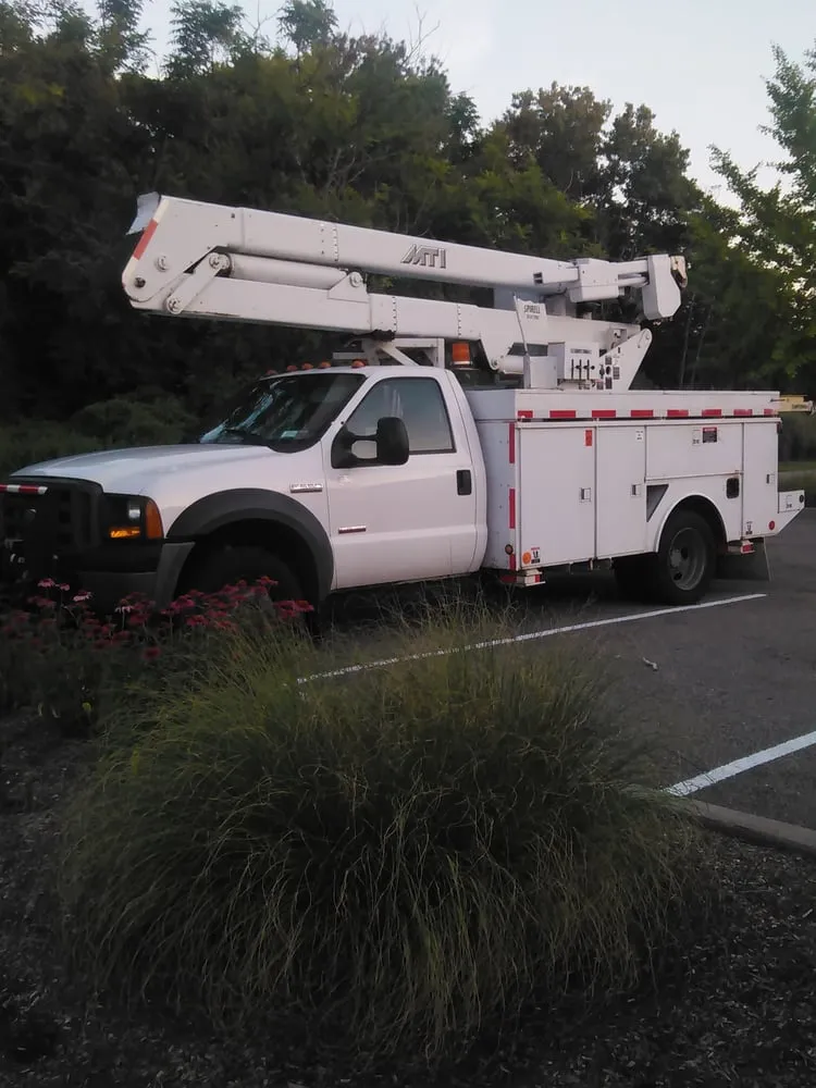 Slide of Spirelli Electric