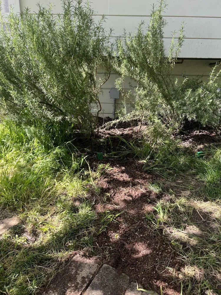 Slide of Split Electric