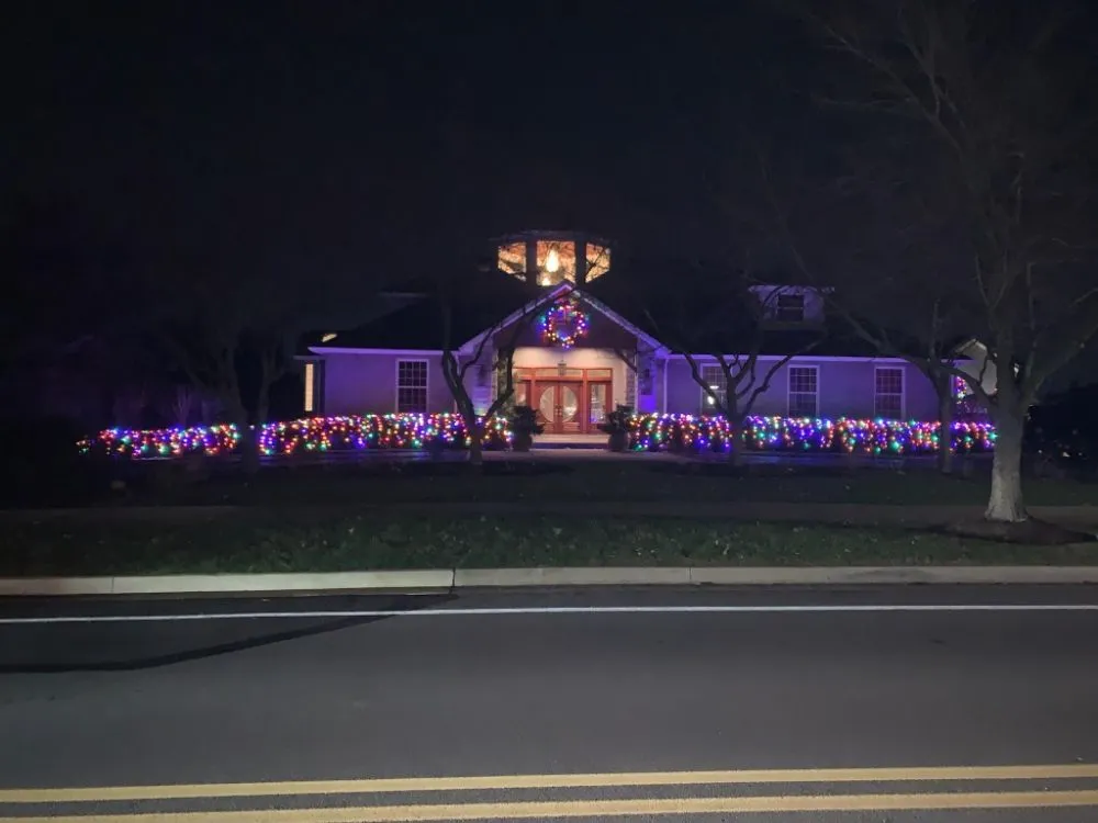 Slide of Sprouting Troops