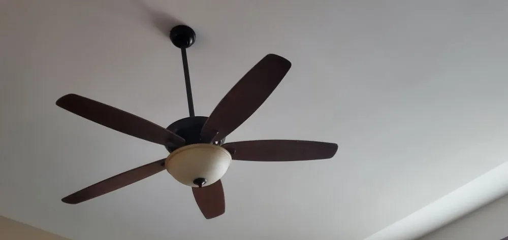 Slide of Sprouting Troops