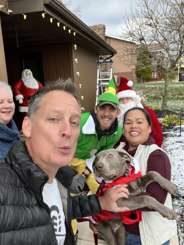 Professional lighting installation in ,  by Sprouting Troops