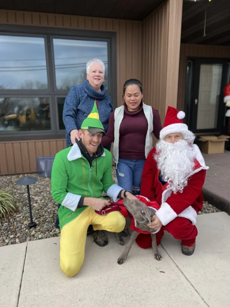 Certified outlet and switch repair experts serving ,  - Sprouting Troops