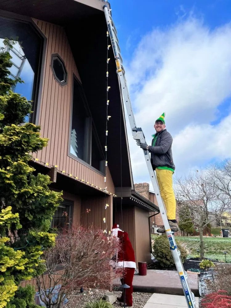 Slide of Sprouting Troops