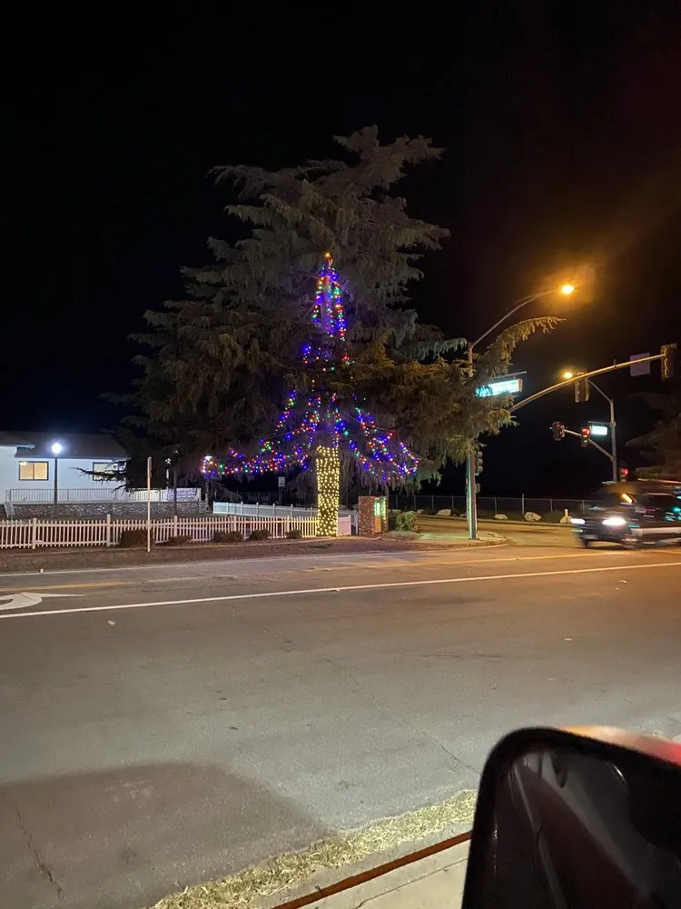 Slide of SRS Electric