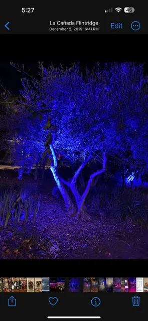 Slide of Star Pacific Electric