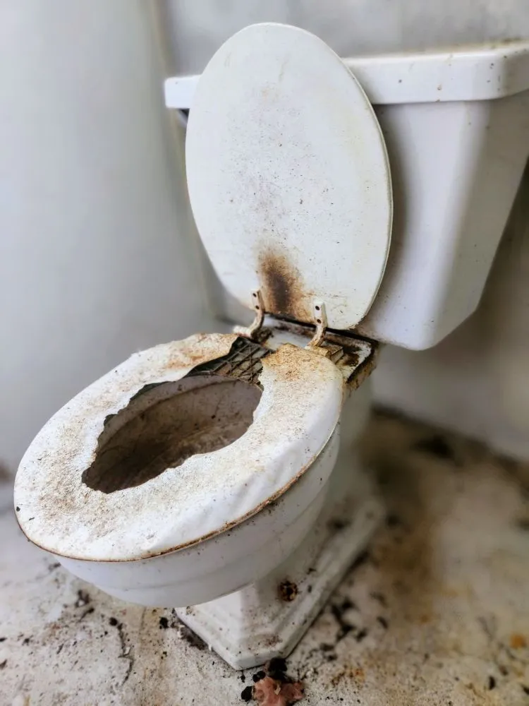 Slide of Start To Finish Group