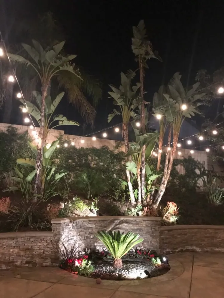 Slide of Static Electric