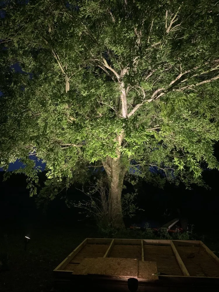 Slide of Steady Hand Services