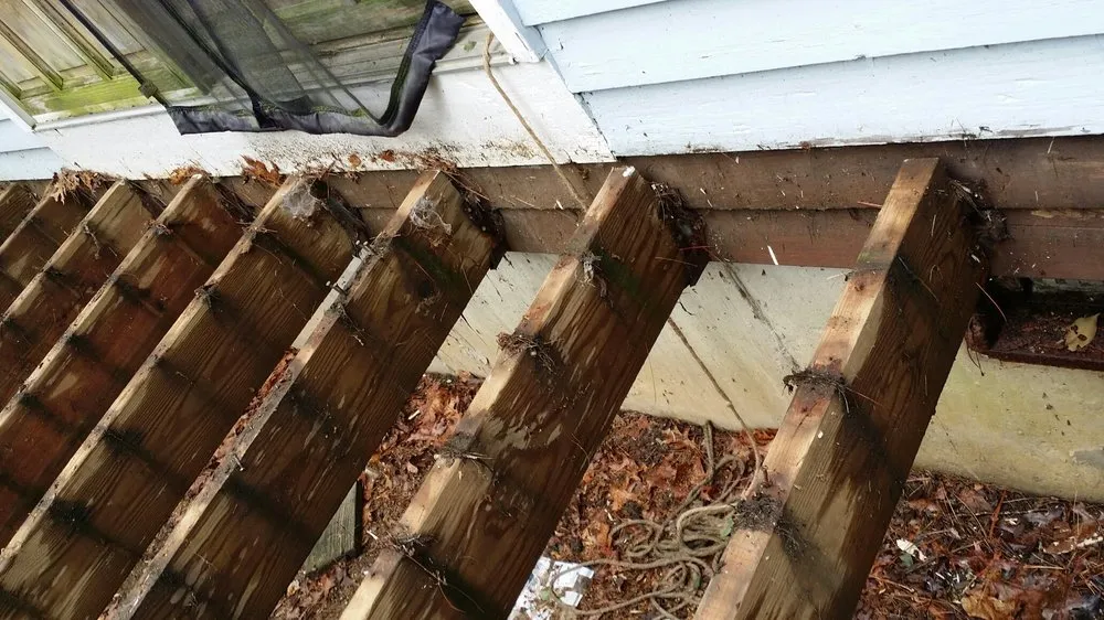 Slide of Sterite Construction