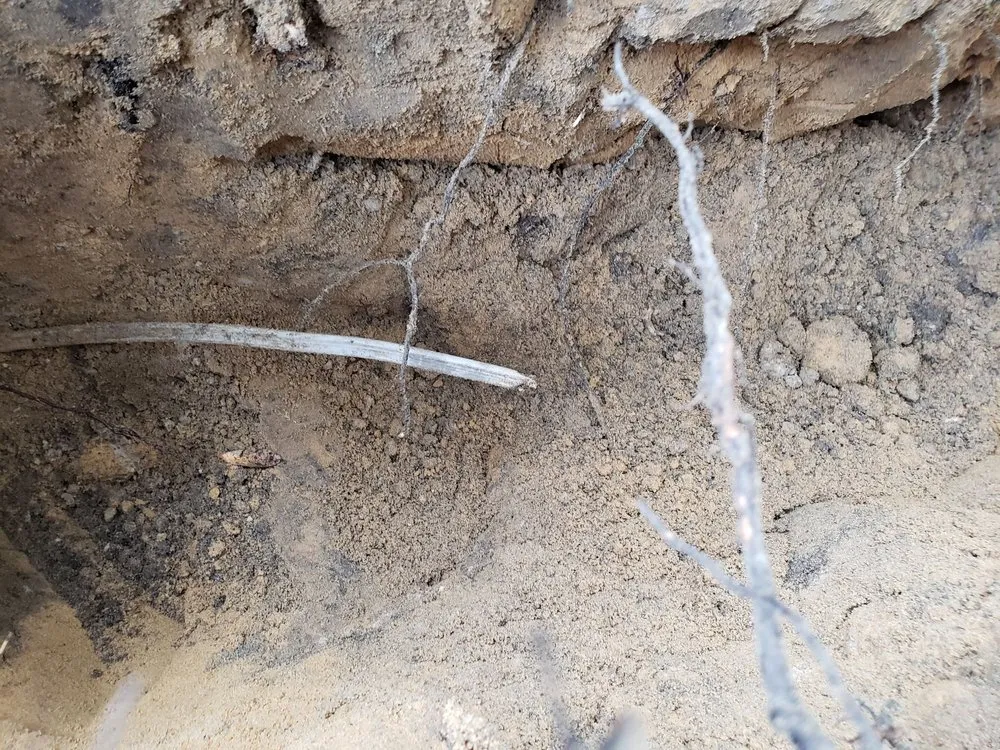 Slide of Sterling Electric