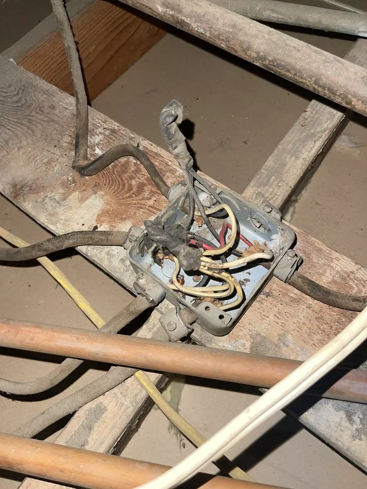 Slide of Steve Cavenee Electric