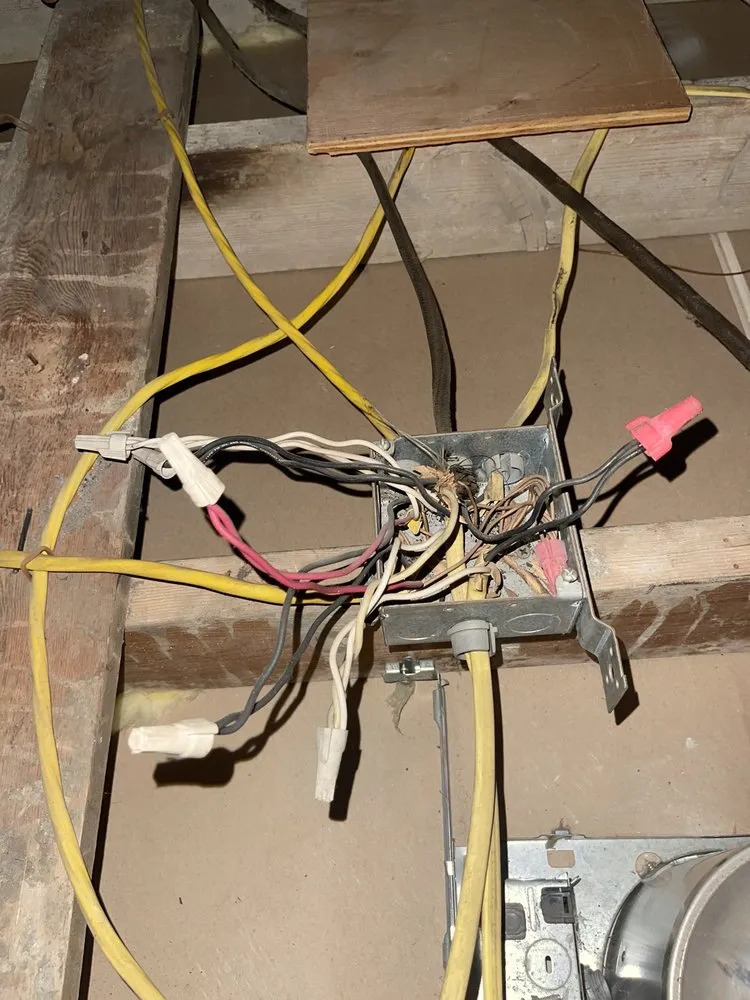 Slide of Steve Cavenee Electric