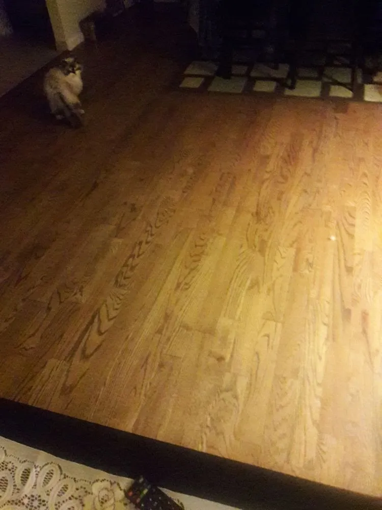 Slide of Steve D Handyman