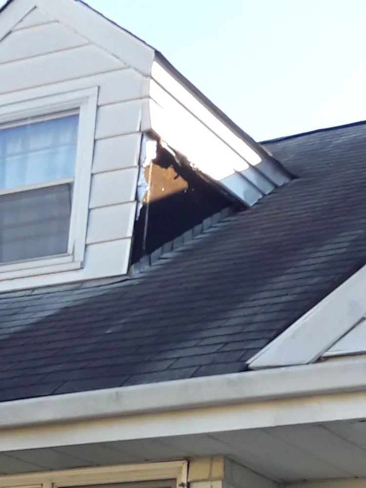 Slide of Steve D Handyman