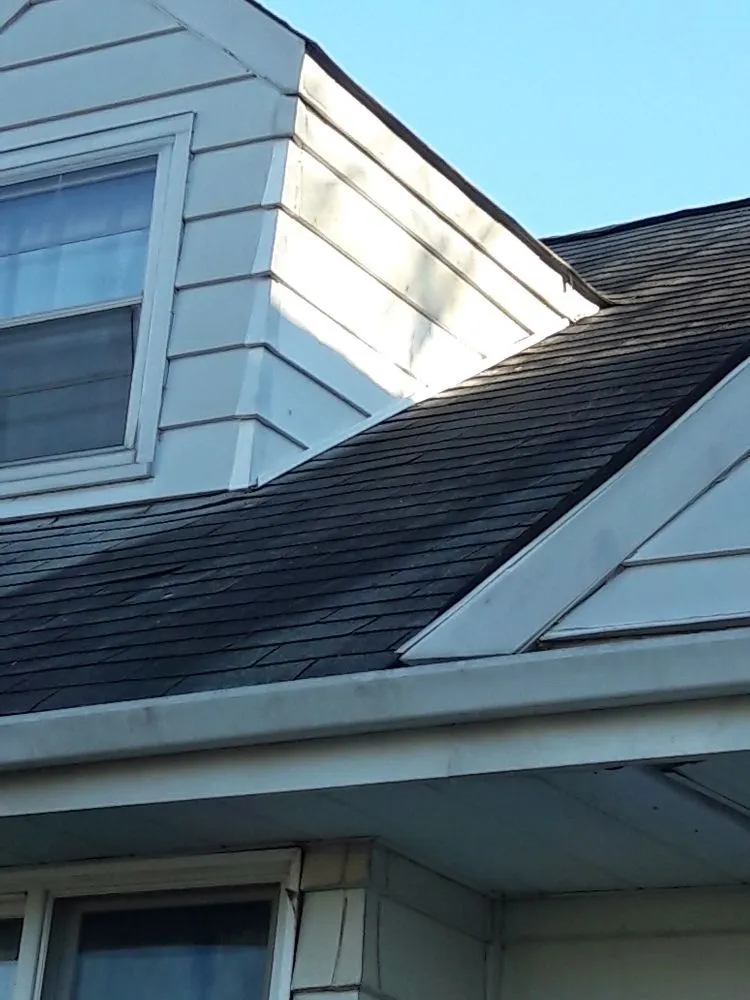 Slide of Steve D Handyman