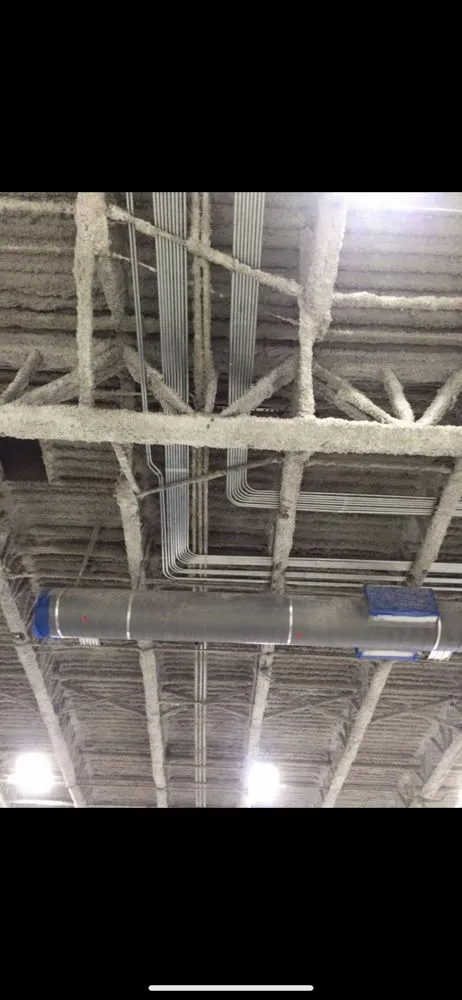 Affordable outlet and switch repair in ,  by Steve Ferreira the Electrician